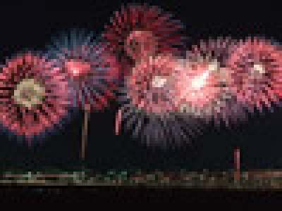 8月の営業日のお知らせ